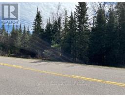 0 County Road 503, Minden Hills, ON K0M2A1 Photo 3