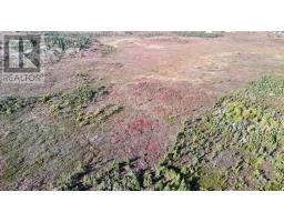 Acreage Highway 3, Charlesville, NS B0W2A0 Photo 4