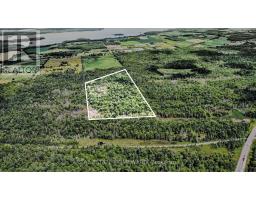 57143 0052 Vacant Land, Whitewater Region, ON K8A6W4 Photo 3