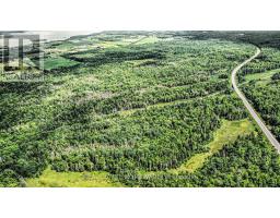 57143 0113 Vacant Land, Laurentian Valley, ON K8A6W3 Photo 5