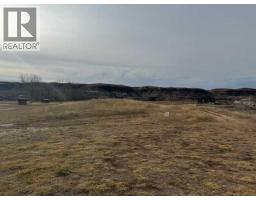 670 Center Street, Drumheller, AB T0J0Y9 Photo 3