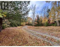 Lot 1 51 Lead Mines Road, Glenelg, NS B0H1E0 Photo 4