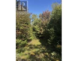 Lot 23 Anderson Drive, Goldenville, NS B0J0B3 Photo 5