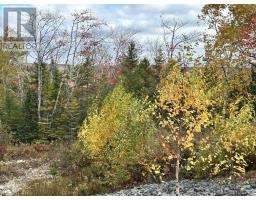 Lot 58 Riverside Drive, Goldenville, NS B0J3S0 Photo 5