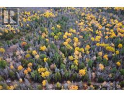 Pt Lt 16 Con 4 Green Bush Road, Little Current, ON P0P1K0 Photo 3