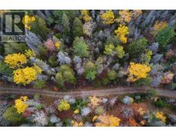 Pt Lt 16 Con 4 Green Bush Road, Little Current, ON P0P1K0 Photo 5