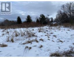 Lot 234 Wellington Street, Pictou, NS B0K1H0 Photo 2