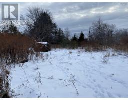 Lot 234 Wellington Street, Pictou, NS B0K1H0 Photo 3