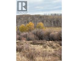 K K Cattle Co Ltd, Maple Creek Rm No 111, SK S0N0T0 Photo 5