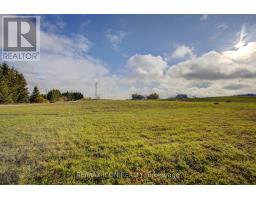 409006 Grey Road 4 Road, Grey Highlands, ON N0C1C0 Photo 5