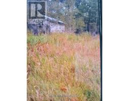 420 Landry Road, Markstaywarren, ON P0M2G0 Photo 2