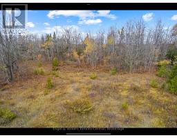 429560 8th B Concession, Grey Highlands, ON N0C1M0 Photo 4
