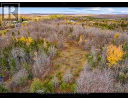 429560 8th B Concession, Grey Highlands, ON N0C1M0 Photo 5