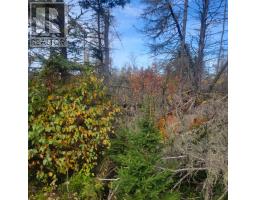 Lot 4 A Cottage Country Lane, Mayfield, PE C0A1N0 Photo 2