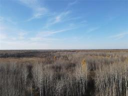 0 18 N Road, Piney Rm, MB R0A2J0 Photo 4