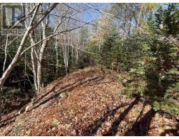 Mosher Road, Conrod Settlement, NS B0J2L0 Photo 2