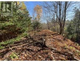 Mosher Road, Conrod Settlement, NS B0J2L0 Photo 3