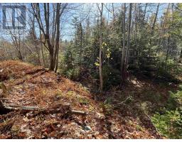 Mosher Road, Conrod Settlement, NS B0J2L0 Photo 4