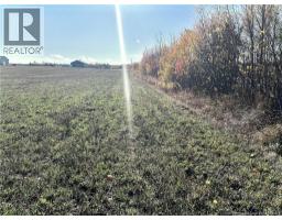 3 Acres Ch Eustache Hache, Saintisidore, NB E8M1G7 Photo 4