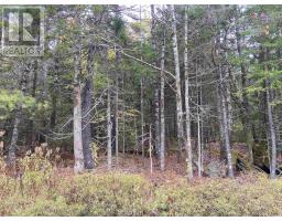 Lot 49 Sunrise Road, North Kemptville, NS B5A5X9 Photo 2