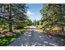 20572 Yonge Street, East Gwillimbury, ON L9N0J7 Photo 2