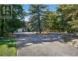 20572 Yonge Street, East Gwillimbury, ON L9N0J7 Photo 3