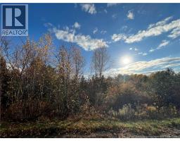 73 17 Tavener Terrace, Picadilly, NB E4E3X2 Photo 2