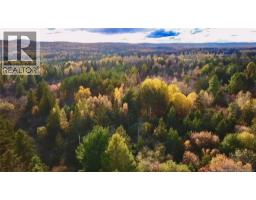 73 17 Tavener Terrace, Picadilly, NB E4E3X2 Photo 4