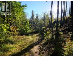 50 Murrelet Close, Sooke, BC V9Z1K2 Photo 2