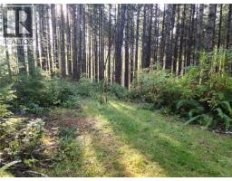 50 Murrelet Close, Sooke, BC V9Z1K2 Photo 4