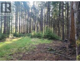 50 Murrelet Close, Sooke, BC V9Z1K2 Photo 5