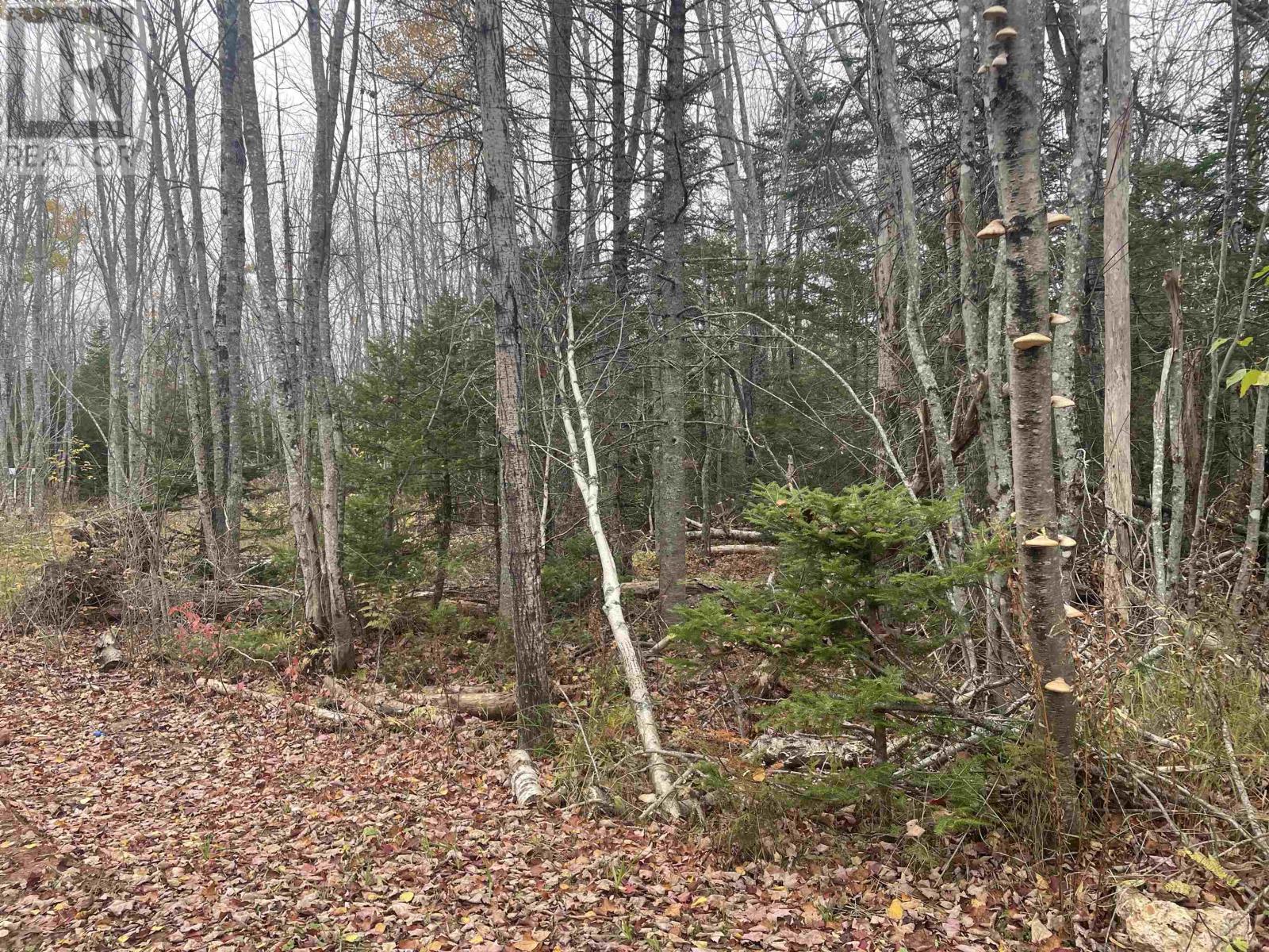 Allen Road Route 122