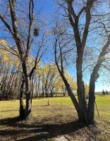 Primary Bedroom - 70 Ste Amelie Road, Ste Rose Du Lac, MB R0L1S0 Photo 3