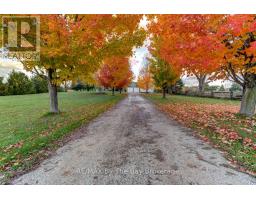 Dining room - 1595 County 42 Road, Clearview, ON L0M1S0 Photo 3