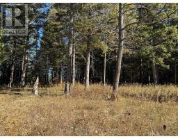 627383 15 Side Road, Mulmur, ON L0N1M0 Photo 2