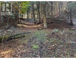 627383 15 Side Road, Mulmur, ON L0N1M0 Photo 3