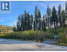 Buck Road Lot 21, Oliver, BC V0H1T8 Photo 2