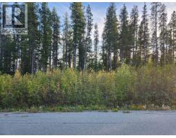 Buck Road Lot 21, Oliver, BC V0H1T8 Photo 3
