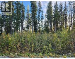 Buck Road Lot 21, Oliver, BC V0H1T8 Photo 4