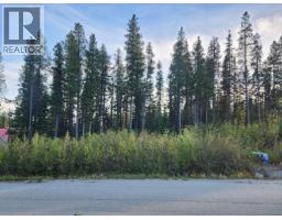 Buck Road Lot 21, Oliver, BC V0H1T8 Photo 5