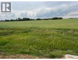 318 Niblock Street, Bawlf, AB T0B0J0 Photo 2