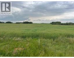 316 Niblock Street, Bawlf, AB T0B0J0 Photo 2