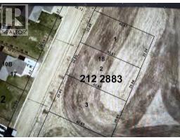 316 Niblock Street, Bawlf, AB T0B0J0 Photo 3