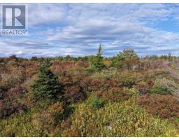 Lot 1 Goldenville Road, Goldenville, NS B0J0B3 Photo 4