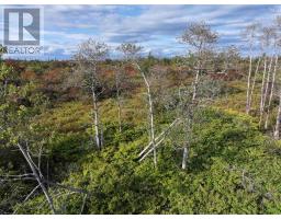 Lot 1 Goldenville Road, Goldenville, NS B0J0B3 Photo 3