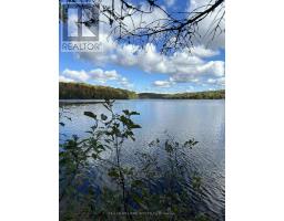 0 Cedar Crescent, Nipissing, ON P0H1Z0 Photo 4