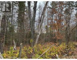 0 2 Bennett Road, Parry Sound Remote Area, ON P0H1J0 Photo 3