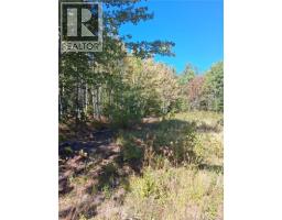 Lot 04 16 Sunset View Lane, Cumberland Bay, NB E4A0A2 Photo 2