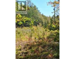 Lot 04 16 Sunset View Lane, Cumberland Bay, NB E4A0A2 Photo 4