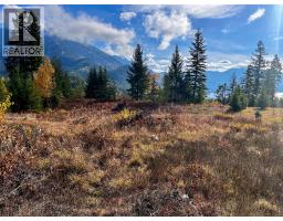 235 Fullmoon Road, Rosebery, BC V0G1S1 Photo 5